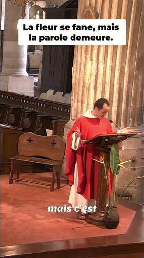 The flower fades... but the Word endures. | Homily by Father Laurent #saintnicolasdeschamps