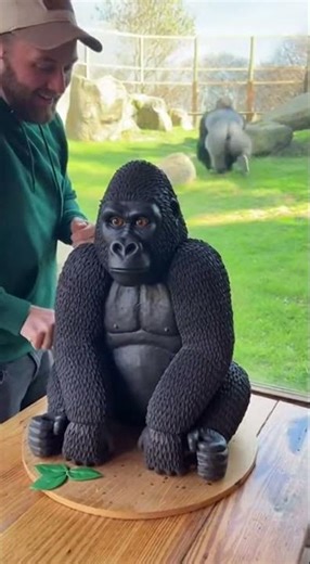 Gorilla Gets Mad When They Cut A Gorilla Cake Watch The Furious Reaction #wildlife #funny #animals