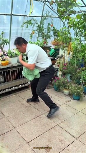 🌿 He Turned His Backyard Into a Living Paradise !!