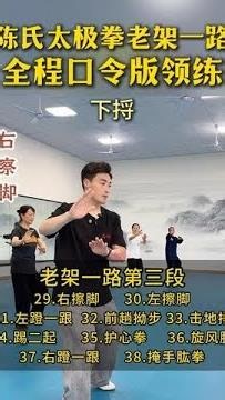 Chen Style Tai Chi Old Frame Routine 1 Section 3 Full Guided Practice with Verbal Cues #TaiChi #T...