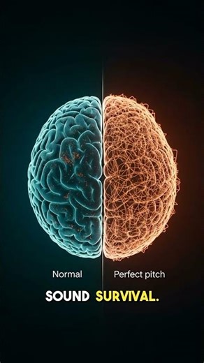 The Perfect Pitch Brain Glitch