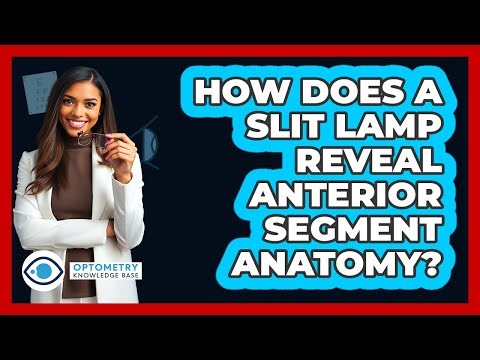 How Does A Slit Lamp Reveal Anterior Segment Anatomy?