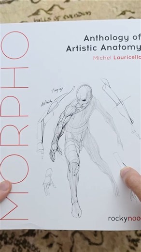The Biggest Morpho Anatomy Book Yet?👀 #artbooks #morpho #anatomy #drawinganatomy #drawingbook