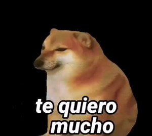 Así es 👀 | Memes del perrito cheems con diferentes frases
