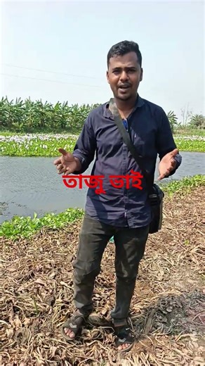 তাজু ভাই #comedy #lifeisbutadream #funny #তাজুভাই