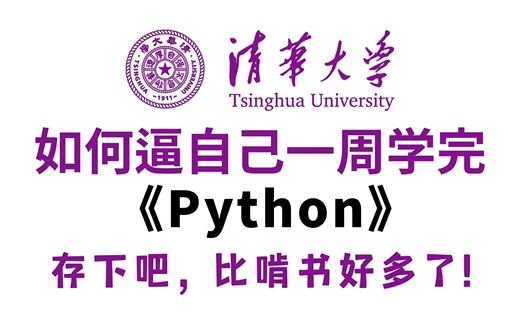 【全348集】强推！清华大佬耗费196小时录制的Python零基础全套教程，手把手教学，草履虫都能学会，别再走弯路了，0基础小白快速进阶python大神！！