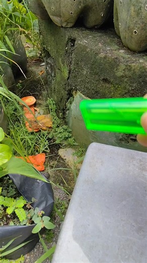 What Happens When Grass Meets Fire? Don’t Miss the Ending! 😱🔥 #asmr #experiment | Theogcfu Reels