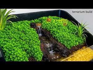 I Never Thought Making A Terrarium Moss Hill Could Be So Simple / DIY Terrarium
