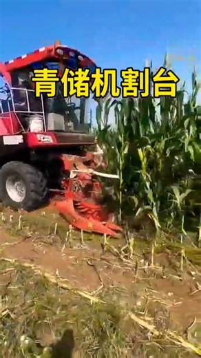 #Forest harvester header Forestharvestharvesthead Manufacturer#Championheader,
