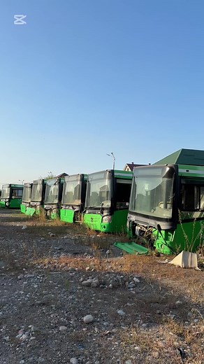 Exploring Abandoned Green and Black Buses