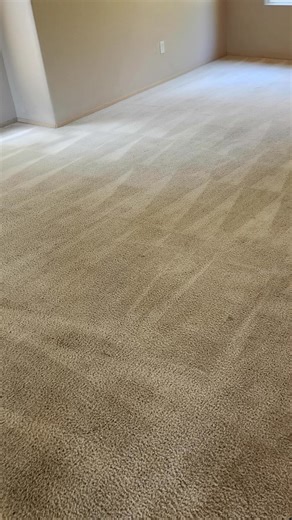 Fall is here! As the season changes, so does the buildup of dirt and dust in your carpets. Let Zimp take care of it with our eco-friendly cleaning methods. #CarpetCleaning #EcoFriendly #FallClean #GreenCleaning | Zimp | Facebook