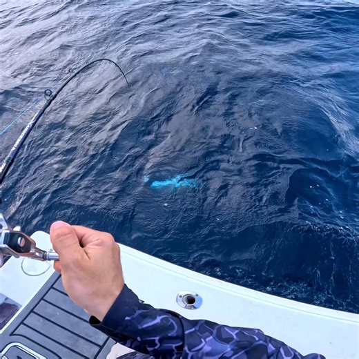 The Curly Vibe 130mm takes on this Nannygai with ease... Perfect for off-shore and reef fishing, as well as for chasing Barra and Threadfin Salmon in estuaries 🙌 Grab yourself one today! | Chasebaits Australia