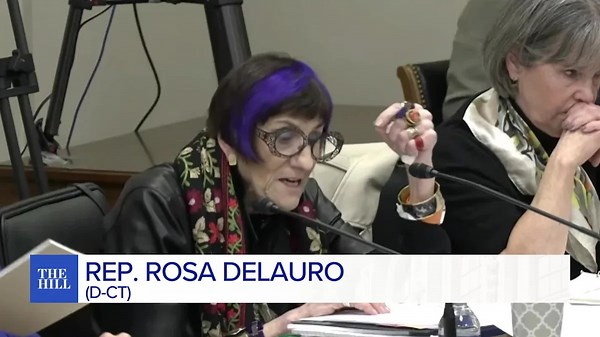 Rep. Rosa DeLauro gets into heated clash with EPA Administrator Lee Zeldin