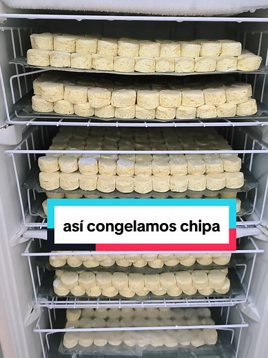 Cómo congelar chipa: guía práctica y consejos