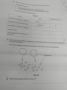 Table 3.1 shows five functions of organs in the abdominal cavit... | Filo