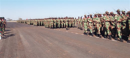 WATCH: 497 new soldiers graduate from Zimbabwe National Army training - herald