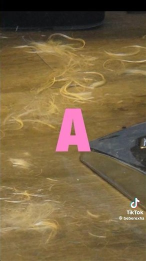 Bebe Rexha TikTok She's Backkk #beberexha