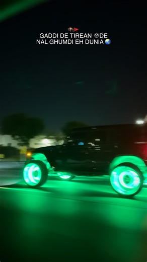 (☬) on Instagram: "🚩🦬"