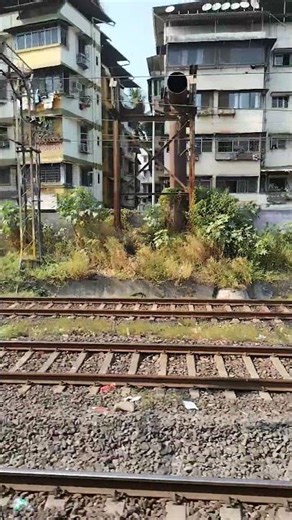 ALCO Diesel locomotive Chugging sound #train #railway #chugging #mostviewd #shorts