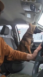 🧒🐕 | Tommy Gauthier