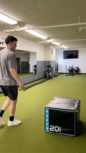 Use this plyometric workout 2-3 days a week to increase your vertical jump and explode off the ground like never before. Stay consistent and watch the results take off! #verticaljump #plyometrics #athletictraining | plyomorph