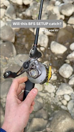 First Fish on My BFS Setup! | Poison Adrena BFS & Calcutta Conquest BFS #fishing #troutfishing #fish