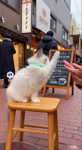 動画 制作 予定 企業様ソートライにご相談ください ショート動画制作 縦型ショート動画 福岡県中小企業振興センター 福岡商工会議所 会員 ふくおか経済 掲載企業 動画スタジオ クリエイタ