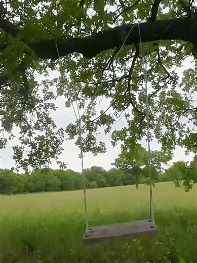 Powerloops, aerials, flips/rolls and flying through small gaps like this clip through the ropeswing. The Ranch is where I can really UNLEASH the drones and go wild. Let me know in the comments if you want me to post FPV tutorials. #fpv #fpvpilot #fpvdrone #drones #ranch