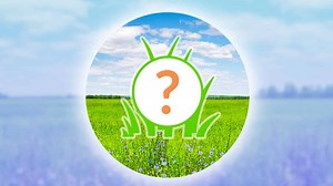 Pokemon Go Spotlight Hour schedule for August 2024 - CharlieINTEL