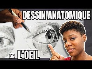 Anatomical drawing of the eye: The proportions of a "perfect" eye?
