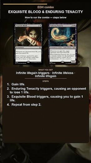 MTG EDH Combo Explained