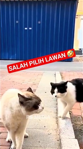 Desperate to move forward #funnyvideo #funny #funnycomedy #entertainment #viralshort #trendingsho...