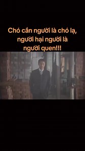 19K views · 501 reactions | Xem tiếp tại đây nha https://tinyurl.com/phim-hong-kong-hay | HongKong Phim | Facebook