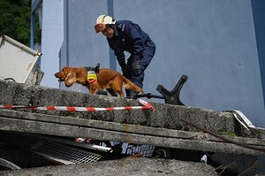 SCDF search dog barks when she finds a survivor, whimpers when she detects a corpse