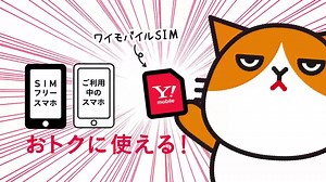 格安SIMって、ホントに安いの？ 通信速度はどうなの？サポートは大丈夫？ 💡そんな疑問にお答えします💡 http://ymobileofficial.eng.mg/4647b | Y!mobile（ワイモバイル）