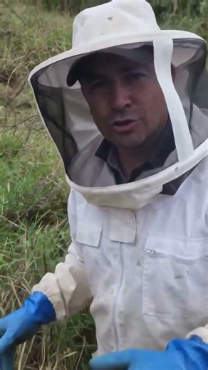 Beehive removal.