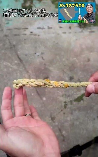 【ロープの結び方】バックスプライス ロープ端の処理方法