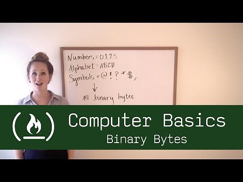 Computer Basics 7: Binary Bytes