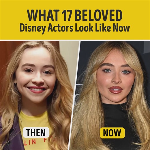 244K views · 501 reactions | What 17 Beloved Disney Actors Look Like Now | Bright Side | Facebook