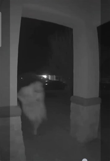 intense Real Footage Caught on Camera