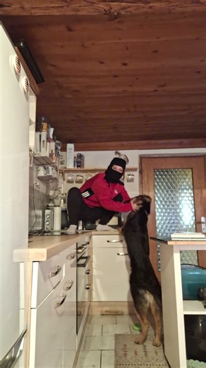 #gopnik #gopniksquat #lifeofboris #slav #slavsquat #squat #viral #slavmemes #gopnikmemes #gopniks