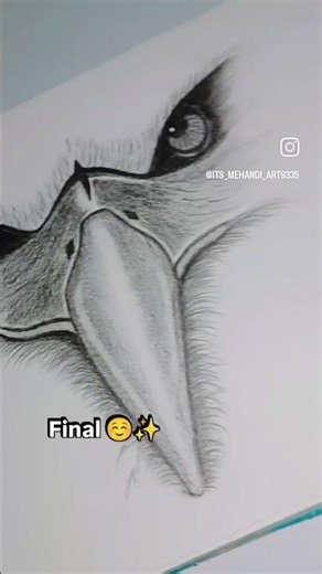 “Realistic Eagle Face Sketch | Intense Eyes Shading | Powerful Pencil Art Tutorial 🦅✨”