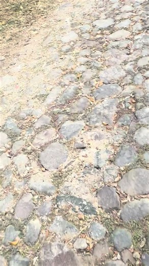 Ig: Cronos.mx_ #joyeria #oro #elegancia