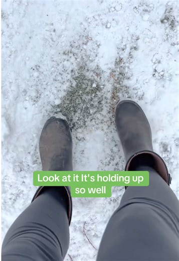 Turf that still keeps the mud away even in the snow ❄️🐶🙌 #Naturaturf #hybridturf #dogs #turfinstall @Katy The K9 Keeper 🐾 KTK9K