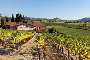 What Is an Estate Wine? Facts & Requirements | LoveToKnow