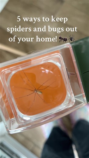 hillarywhales on TikTok