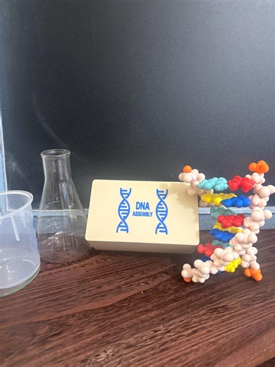 6-base DNA Assembly Kit + NGSS Curriculum | STEM Genetics Model for Transcription, Translation & Mutations - Etsy