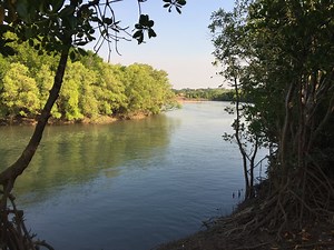 YSI ProQuatro - Eco Environmental