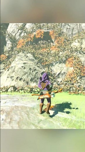 Hidden Shrine | The Legend of Zelda: Breath of the Wild