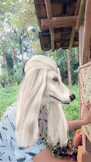 Sapi Santai: Video Komedi Lucu yang Viral